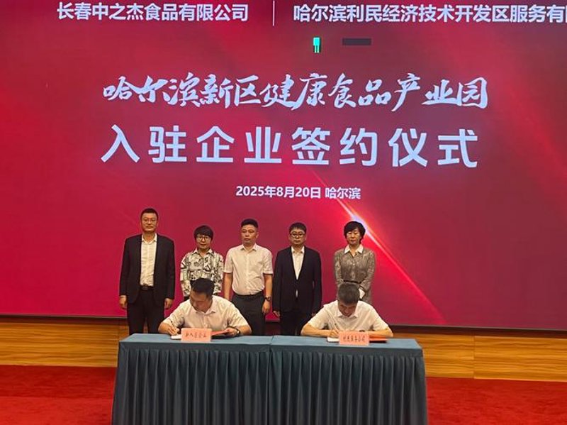 莱德食品案例分析：如何提升市场影响力