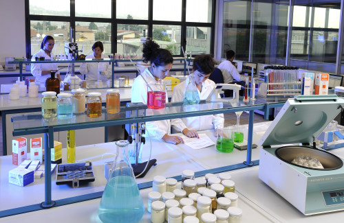 正试图将世界从“法治”重塑为“强权统治”