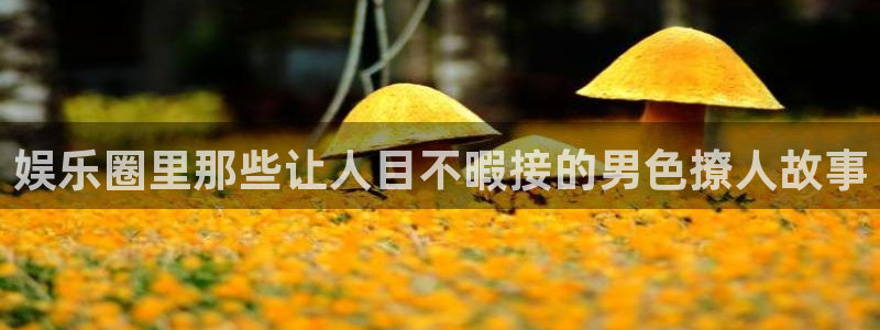 棋牌乐游戏