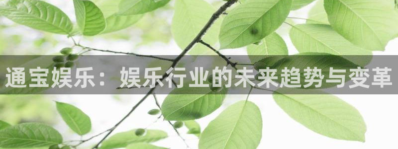 棋乐游棋牌平台