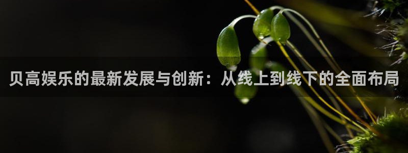 乐游棋牌下载